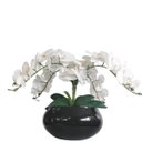 Ver imagem 1 de Arranjo de Mesa 4 Flores Orquídeas Real Vaso Terrário