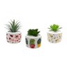 Vaso Jardim Cachepo Suculenta Trio Cerâmica 5,3 Cm Diâmetro - 1
