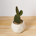 Ver imagem 2 de Vaso de Concreto Granilite Bloom - Casa Toco