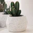 Ver imagem 6 de Vaso de Concreto Granilite Bloom - Casa Toco