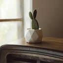 Ver mais imagens de Vaso de Concreto Granilite Bloom - Casa Toco
