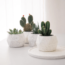 Ver imagem 4 de Vaso de Concreto Granilite Bloom - Casa Toco