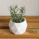 Ver imagem 7 de Vaso de Concreto Granilite Bloom - Casa Toco