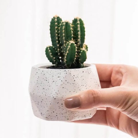 Vaso de Concreto Granilite Bloom - Casa Toco