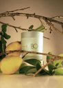 Ver imagem 3 de Vela Perfumada Lotus Summer Pear Patbo 210g Lenvie