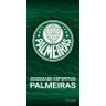 Toalha Felpuda Time de Futebol - Palmeiras | Buettner - 1