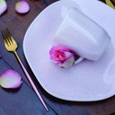 Ver imagem 2 de Jogo de Pratos Rasos em Porcelana Ryo com 6 Peças 27,5cm Oxford Pink Sand