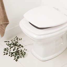 Assento Sanitário Fit Branco para Vaso Celite - 2