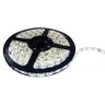 Fita Led 3528 Rolo 5m 300 Leds Branco Frio - 1
