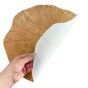 Ver imagem 5 de Kit 6 Pçs Jogo Americano Imitando Tronco De Árvore Supla Sousplat Pvc Mesa Posta Marrom Claro