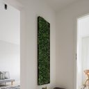 Ver imagem 1 de 6 Placas de Grama Planta Buxinho Artificial 25x25 Fundos de Parede Verde Decorativa
