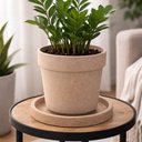 Ver imagem 3 de Kit 4 Pratos para Vasos de Flor 33,5cm Plantas Granito Areia Tramontina Jardim Varanda Tam P