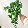 Planta Artificial Pendente Jibóia 60x35cm Verde - 4
