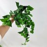 Planta Artificial Pendente Jibóia 60x35cm Verde - 5