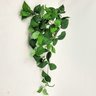 Planta Artificial Pendente Jibóia 60x35cm Verde - 3