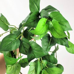 Planta Artificial Pendente Jibóia 60x35cm Verde - 6