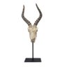 escultura cabeça de bode NILO resina bege 24cm Ilunato QC0481 - 1
