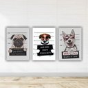 Ver imagem 1 de Kit Quadros Decorativos PET 3 peças
