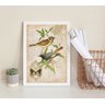 Quadro Decorativo Pássaros Vintage - Botânica 24x18cm - com Vidro:madeira Preta - 1