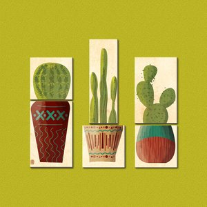 Tipos de Cactos - Quadros ou Placas Modulares com 6 Peças