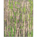 Ver imagem 1 de Tapete Para Sala New Look Savana 3,00X4,00 São Carlos