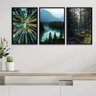 Kit 3 Quadros Decorativos Natureza- Florestas 24x18cm - com Vidro:madeira Preta - 2