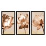 Kit 3 Quadros Decorativos Sala Flores Tom Cobre Gold Folhas Lindo Quero Mais Quadros KC3GE-069 - 1
