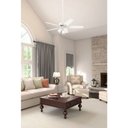 Ver imagem 3 de Ventilador de Teto Hunter Fan Builder Plus Branco 5 Pás com Luminária 220V