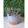 Vaso De Flor P/ Suculenta Cinza e Bronze P - 2