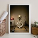 Ver imagem 1 de Quadro Decorativo Cachorro Meditando 24x18cm - com Vidro:madeira Branca
