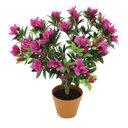 Ver imagem 1 de planta artificial AZÉLIA 41cm Ilunato DP0008
