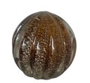 Ver imagem 1 de Esfera Murano Marrom com Dourado - Tamanho g (12 x 12 cm) | Casa Del Grande
