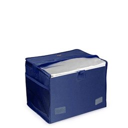 Bolsa Térmica 10 Litros 3609 - 3