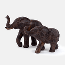 Ver imagem 2 de Elefante Zambia Blue Gardenia