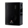 Caixa Passiva Fal 12 Pol 250W Pa / Monitor / Fly - Ts 500 Antera - 1