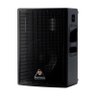 Caixa Passiva Fal 12 Pol 250W Pa / Monitor / Fly - Ts 500 Antera - 2