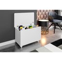 Ver imagem 2 de Baú Organizador com Rodízios Multimóveis CR35092 Branco