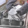 Espagueteira Aco Inox com Fundo Triplo 22cm - 3