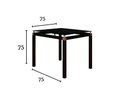 Ver imagem 3 de Conjunto De Mesa Tubular Malva Com 4 Cadeiras 151 Tampo De Vidro 75cm Preto Assento Cedro Artefamol