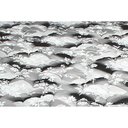 Ver imagem 4 de Colchão Casal Espuma D33 Supreme Black (138x188x14) - Luckspuma