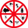 Mosquiteiro Rosa Renda Filó Para Cama Casal e Solteiro - 5