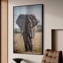 Ver imagem 1 de Quadro Decorativo Elefante Caminhando em Moldura Caixa TaColado Moldura Trad 1cm Madeira Escura sem 