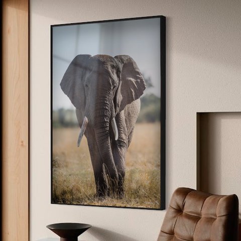 Quadro Decorativo Elefante Caminhando em Moldura Caixa TaColado Moldura Trad 1cm Madeira Escura sem 