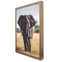 Ver imagem 4 de Quadro Decorativo Elefante Caminhando em Moldura Caixa TaColado Moldura Trad 1cm Madeira Escura sem 