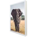 Ver imagem 2 de Quadro Decorativo Elefante Caminhando em Moldura Caixa TaColado Moldura Trad 1cm Madeira Escura sem 