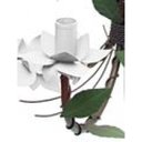 Ver imagem 6 de Lustre de Ferro Sala de Jantar Moderna Flores com 4 Braços Rustico - Branco