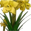 Ver imagem 5 de Lustre Artesanal para Quarto de Casal com Flores Rustico de Ferro - Amarelo