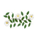 Ver imagem 1 de Quadro Painel Decoração Sala de Jantar Tela com Flores Ferro - Branco