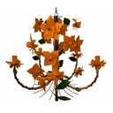 Laranja