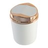 Kit Pia Cozinha Rosé Gold Lixeira Basculante 5L e Escorredor Pratos e Copos - Branco/Cobre - 5